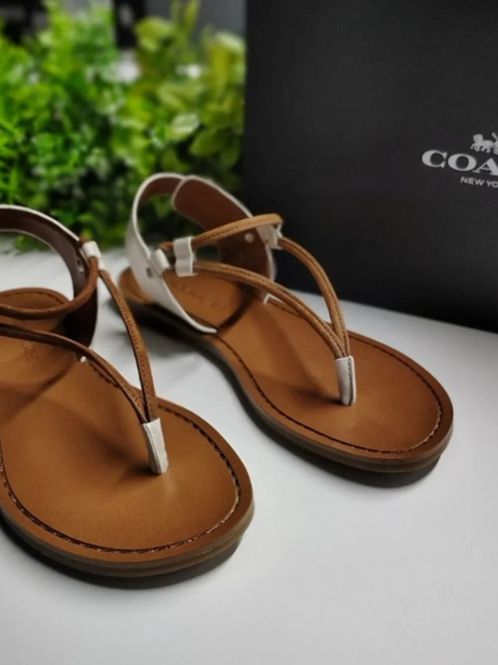 Coach Clarkson Thong Sandals Chalk Saddle Leather Ankle Strap Size 5M NWT